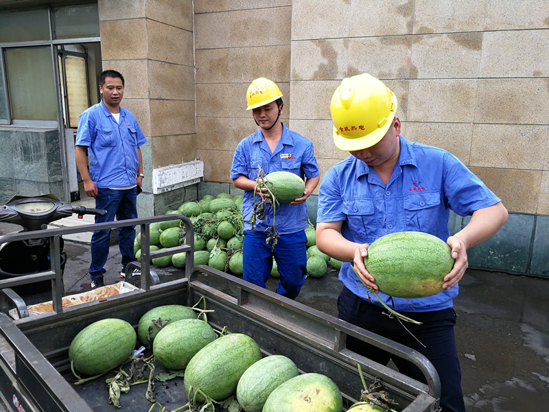 澳门八码三中三